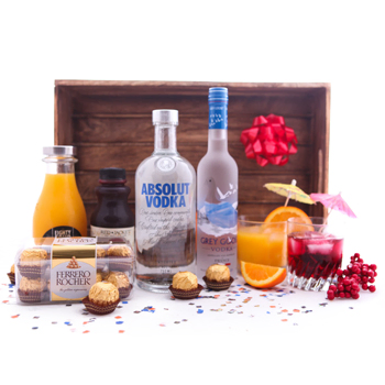 Deluxe Screwdriver Duo Cocktail Set to Nicaragua