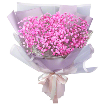 Pink Baby Breath Bouquet to DRC