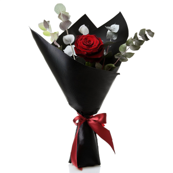 Single Stem Red Rose Arrangement to Afghanistan