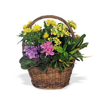 Bountiful Garden Flower Basket to Martinique