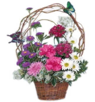 Garden Oasis Flower Basket to Kuwait