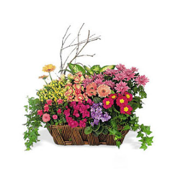 A Chorus of Flowers Basket to Montserrat