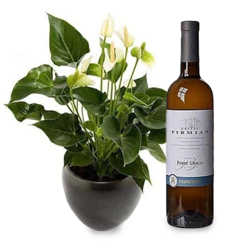 Housewarming Plant and Wine Gift Set to Germany