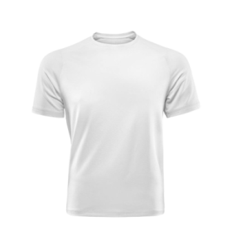 Men's Personalized T-Shirt to Bosnia and Herzegovina