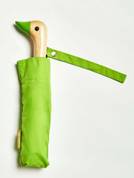Green Eco Duck Umbrella to Poland